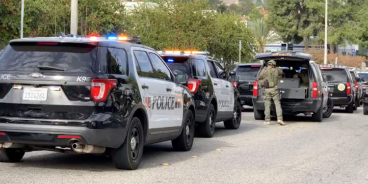 ένοπλος - ΗΠΑ