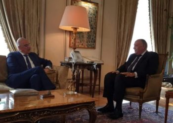 Δένδιας - Αίγυπτος