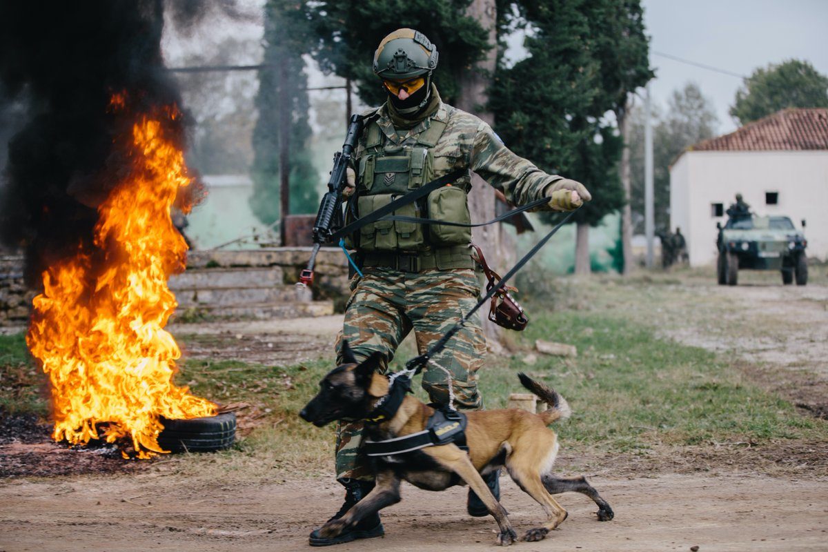 ένοπλε δυνάμεις