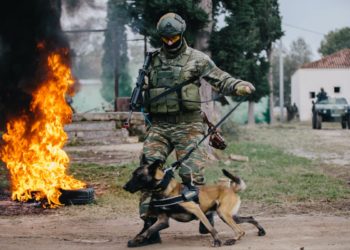 ένοπλε δυνάμεις