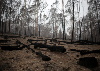 Αυστραλία: Στρατιώτες επιχειρούν πόρτα-πόρτα εκκένωση λόγω επερχόμενου καύσωνα
