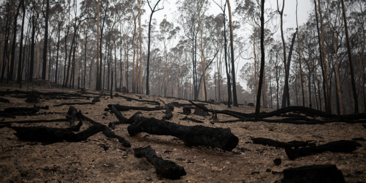 Αυστραλία: Στρατιώτες επιχειρούν πόρτα-πόρτα εκκένωση λόγω επερχόμενου καύσωνα