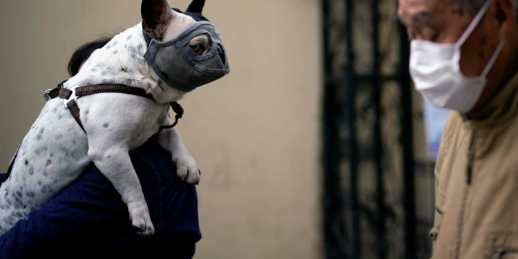 εμβόλιο κορονοϊός