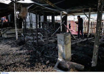 Αλλοδαποί έβαλαν τη φωτιά σε προσφυγικό καταυλισμό στη Μυτιλήνη – Έφτασαν στο νησί γι αυτό τον σκοπό!