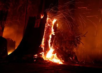 Καλιφόρνια πυρκαγιές