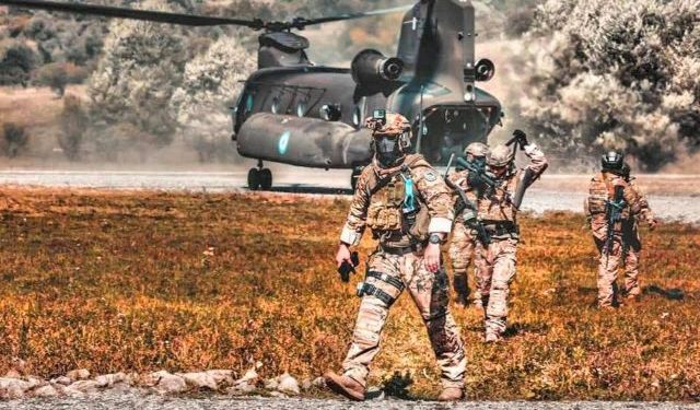 ευρωπαϊκή δύναμη ταχείας επέμβασης