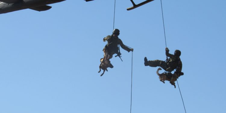 ΓΕΣ - Ρεντίνα