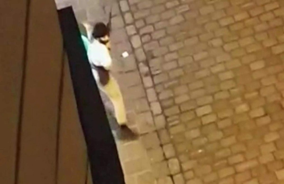 επίθεση στη Βιέννη