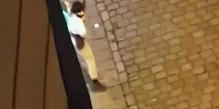 επίθεση στη Βιέννη