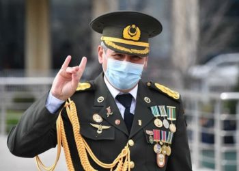 Γκρίζων Λύκων