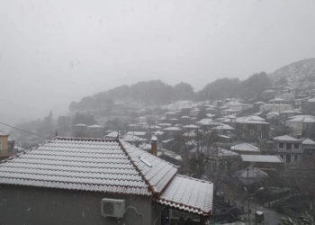 Πολιτική προστασία