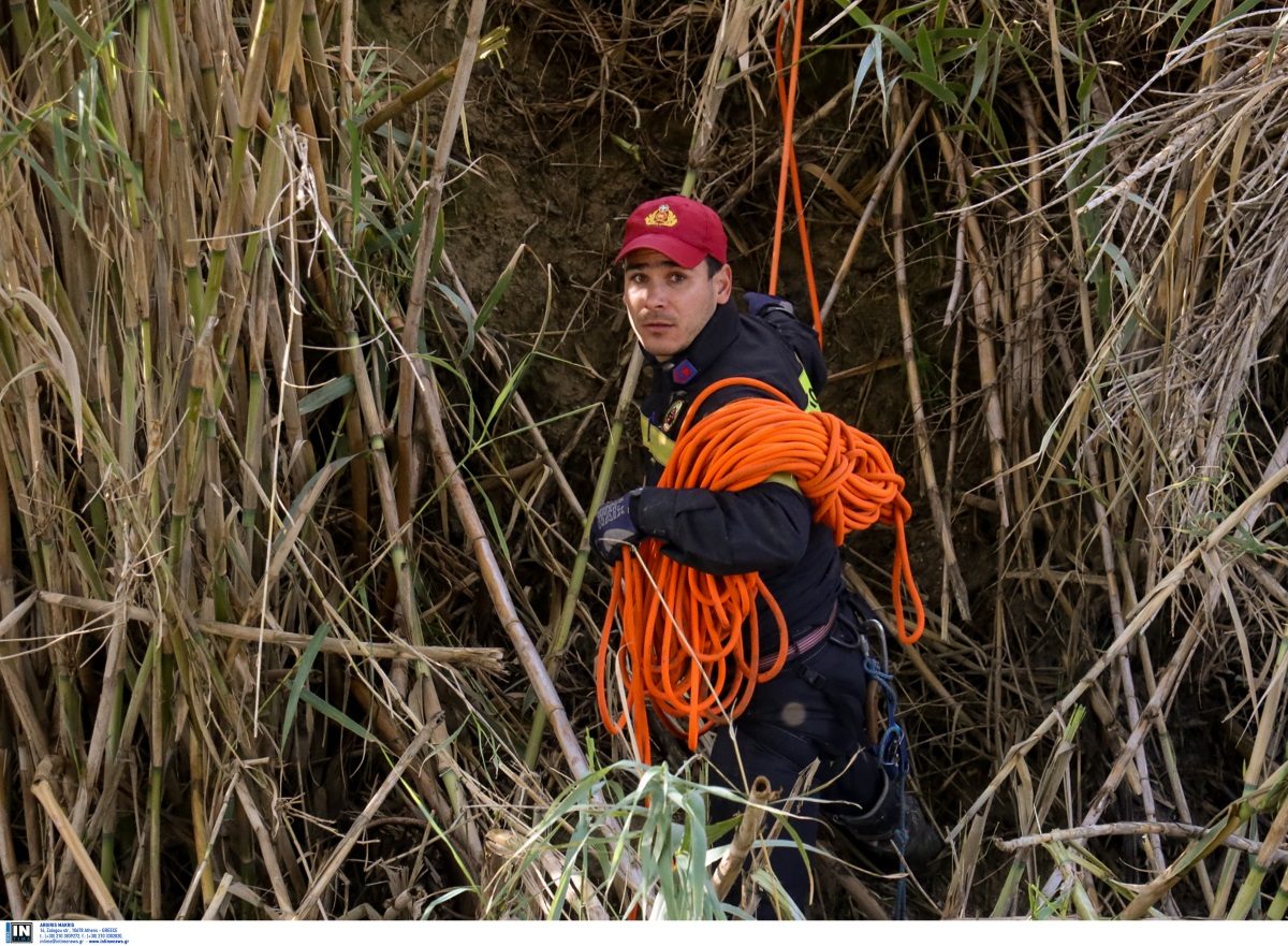 έρευνες - Ιωάννινα