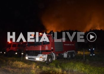 πυρκαγιά Ηλεία