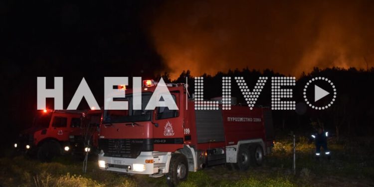 πυρκαγιά Ηλεία