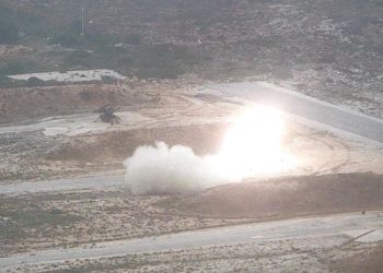 Βόλος: Απίστευτο! Βλήμα από το πεδίο βολής σκότωσε κοπάδι πρόβατα [vid]