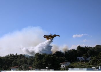 Πυρκαγιά στα Γεράνεια Όρη: Αδυσώπητη μάχη με τις φλόγες – Συγκρατημένη αισιοδοξία για οριοθέτηση του μετώπου