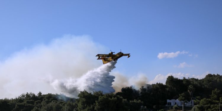 Πυρκαγιά στα Γεράνεια Όρη: Αδυσώπητη μάχη με τις φλόγες – Συγκρατημένη αισιοδοξία για οριοθέτηση του μετώπου