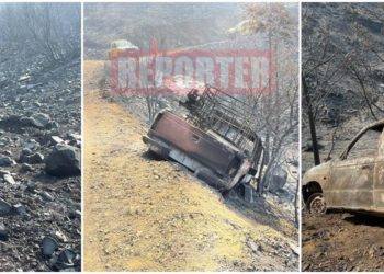 Πυρκαγιά - Κύπρος