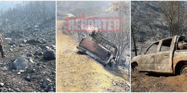 Πυρκαγιά - Κύπρος