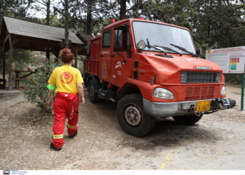 Αρχηγός Πυροσβεστικού Σώματος