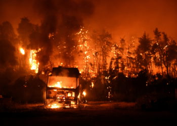 φωτιά στην Εύβοια