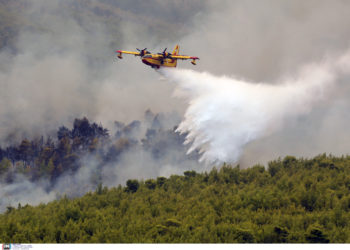 φωτιά στα Βίλια