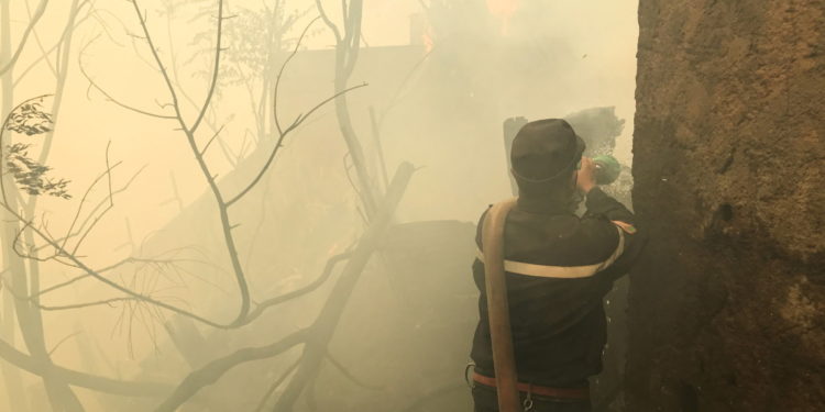 Αλγερία - πυρκαγιές