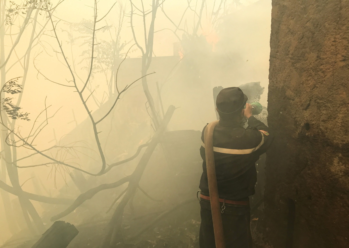 Αλγερία: Δεκάδες νεκροί πολίτες και στρατιώτες στη μάχη με τις φλόγες - Vimarsana News