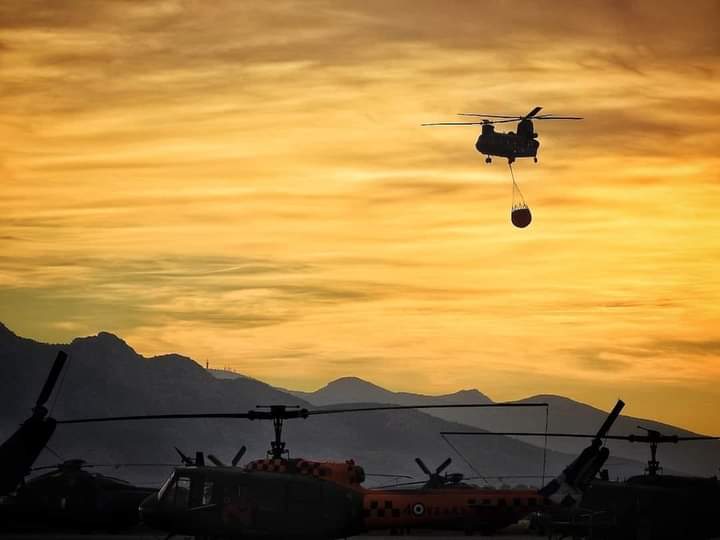 παραίτηση του Διευθυντή της Αεροπορίας Στρατού