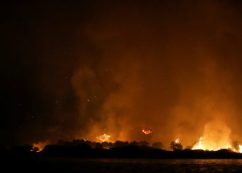 Τουρκία - πυρκαγιές