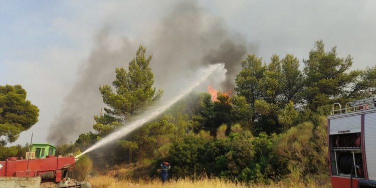 Ένοπλες Δυνάμεις: Ενισχύεται η παρουσία στα πύρινα μέτωπα – Νέες εικόνες από τις επιχειρήσεις κατάσβεσης και επιτήρησης