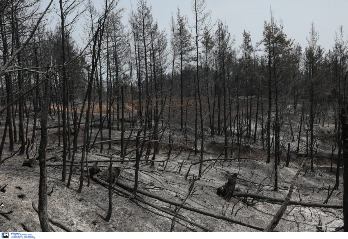 Σακελλαροπούλου - Εύβοια