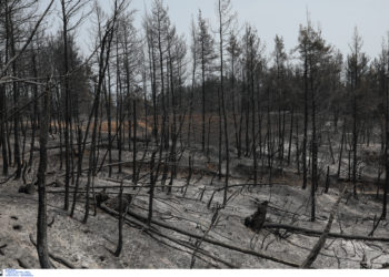 Σακελλαροπούλου - Εύβοια