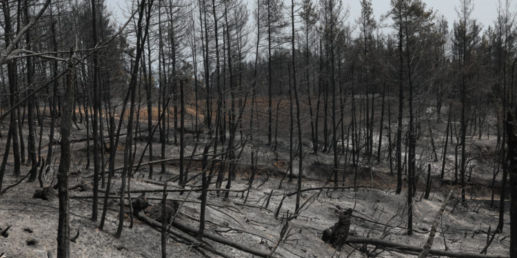 Σακελλαροπούλου - Εύβοια