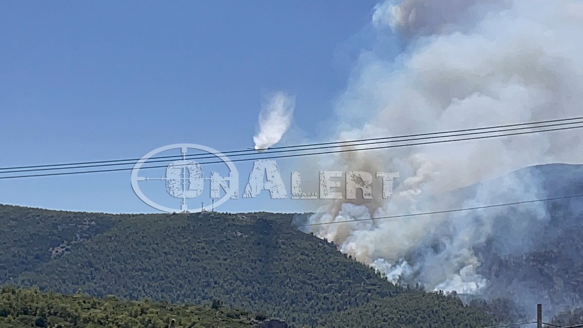 Πυρκαγιά - Βίλια