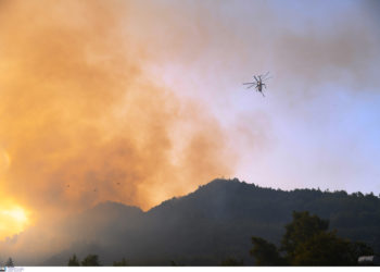 Φωτιά Εύβοια