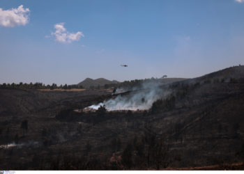 Ηλεία: Αντιμέτωποι με τις αναζωπυρώσεις – Επιχειρούν και πυροσβέστες από την Τσεχία