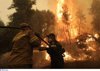 Γαλλία - Πολιτική Προστασία - Ελλάδα