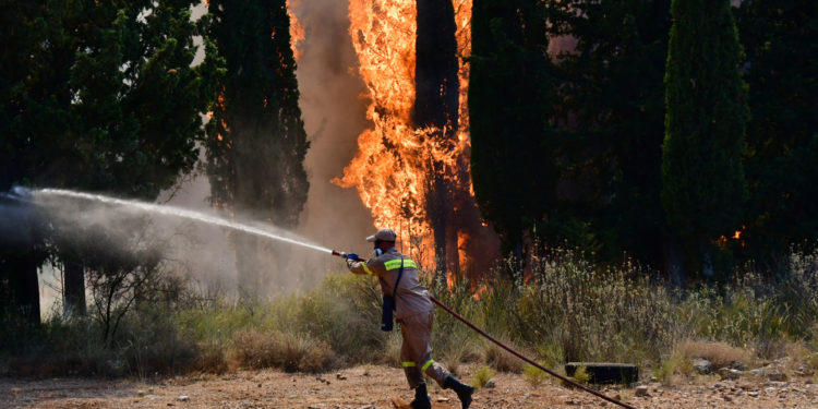 Φωτιά στην Εύβοια: Σε εξέλιξη 4 μέτωπα – Δύσκολη η επέμβαση εναέριων μέσων λόγω έλλειψης ορατότητας