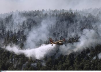 Πυρκαγιά - Βίλια