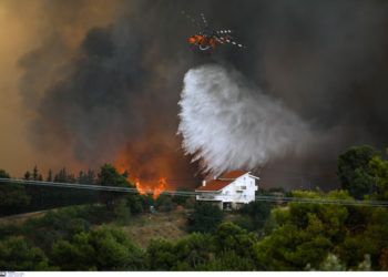 Πυρκαγιά - ΕΛΑΣ - Ταξίαρχος