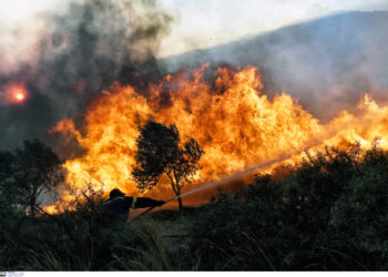 Πυρκαγιές: Η «ανταμοιβή» των Γάλλων πυροσβεστών που επιχείρησαν στη Γορτυνία [pics]