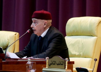 Αγκίλα Σάλεχ