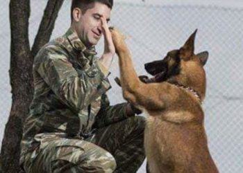 Πολεμικό Ναυτικό: «Καλούνται για κατάταξη» 20 στρατιωτικοί σκύλοι