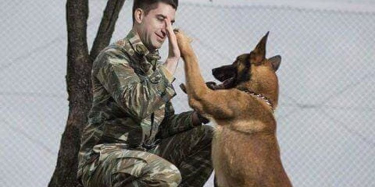 Πολεμικό Ναυτικό: «Καλούνται για κατάταξη» 20 στρατιωτικοί σκύλοι