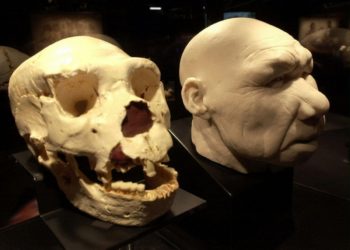 Homo bodoensis