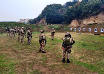 Συνεκπαίδευση