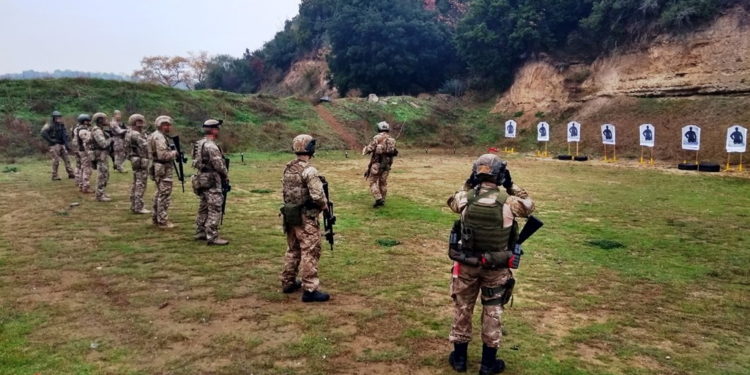 Συνεκπαίδευση