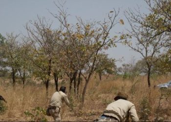 Μπουρκίνα Φάσο