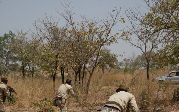 Μπουρκίνα Φάσο